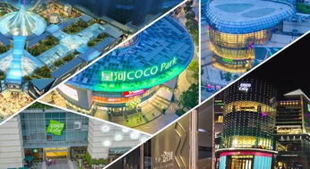 集团商业综合体管理服务升级，以精细化运营引领城市商业新生态